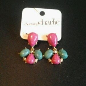 Charming Charlie’s pierced earrings